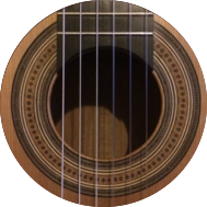 Logo: the sound hole and rosette of a hand-made classical guitar